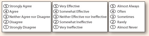 Example of a rating scale