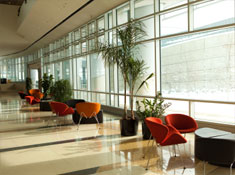 natural lighting setting