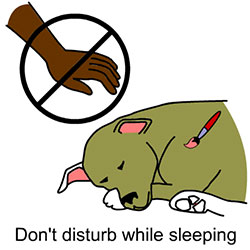 Don't Disturb