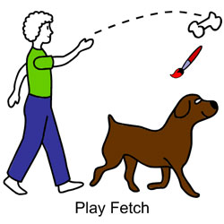 Play Fetch