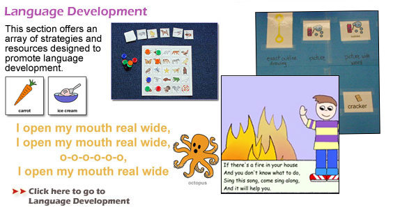 Language Development