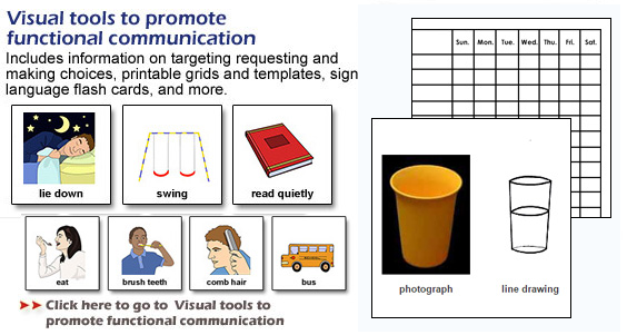 Visual tools to promote functional communication